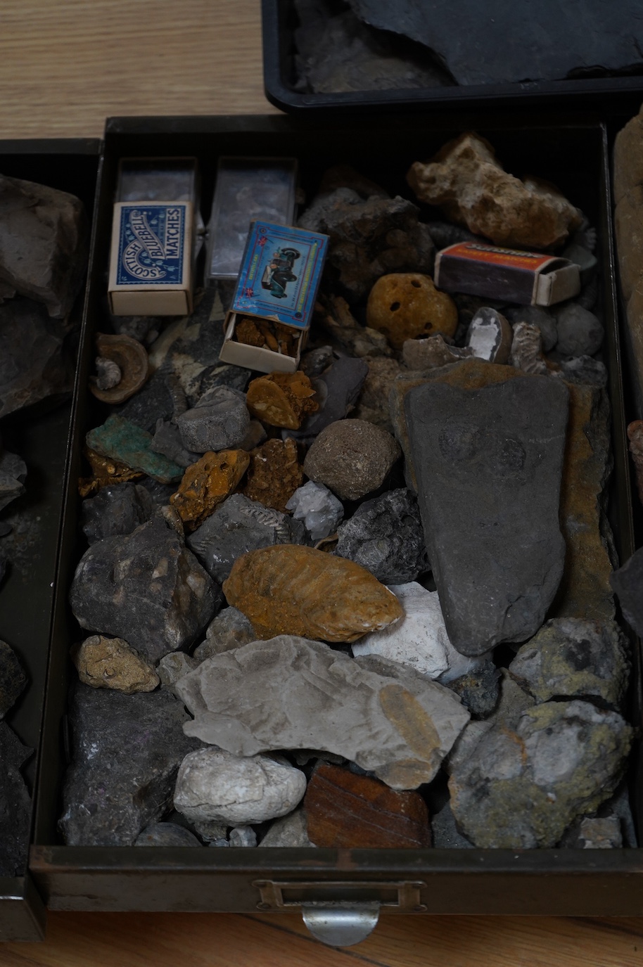 Five trays of fossils and minerals including a glacial river bed sample, lava flow, fossil tree imprint, reduction spots in slate, galina ore sample, a fossil sponge?, ammonites, vertebrae, onchinod ferns, seeds, shell i